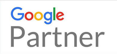 Google Partner Badge